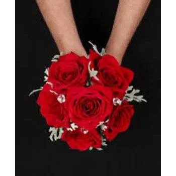   Fresh Red Rose Flower